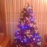Bego's Christmas tree from Bilbao