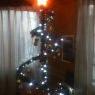 Silvio y daniel's Christmas tree from Bolivia