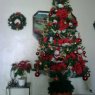 Eglis Lòpez's Christmas tree from Estado Zulia, Venezuela 