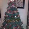 Ricey tree's Christmas tree from North East Lincolnshire grimsby