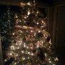Bardix's Christmas tree from Houston, TX, USA