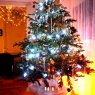 Weihnachtsbaum von Motte (Lyon, France)