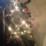Sebastian Lindblom's Christmas tree from Sweden
