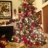 Weihnachtsbaum von Vicky Camargo (Summerville, SC, USA)