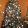 grace caballero's Christmas tree from mexico df