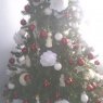 Jose de Luis's Christmas tree from Tenerife, España