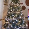 Donna Walker's Christmas tree from Lexington Park, Maryland