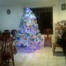 Niria Mercader's Christmas tree from Xalapa, Veracruz, Mexico