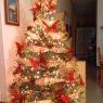 Nena's Christmas tree from Honduras