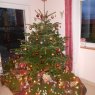 Emilie's Christmas tree from Phalsbourg, France