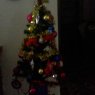Martina's Christmas tree from Entre Rios, Gualeguaychu, General Almada, Argentin