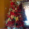 Weihnachtsbaum von pastora arenas (Cabudare, Lara, Venezuela)