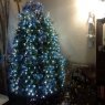 Viridiana's Christmas tree from Distrito Federal, México 