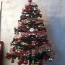 Johana's Christmas tree from Argentina