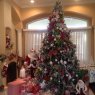 Weihnachtsbaum von Gladys Miller Christmas Tree (Debary, FL, USA)
