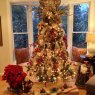 Árbol de Navidad de Woodland Forest Christmas Tree (Easton, CT, USA)