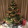 Tim Adams's Christmas tree from Sydney, NSW, Australia