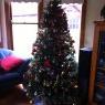 Tree of hope, joy and life's Christmas tree from Australia