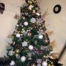 Lizette's Christmas tree from Venezuela, Caracas