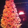 Weihnachtsbaum von Lorraine Carnab (Glasgow, Scotland)