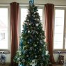 Jonneque Foye's Christmas tree from Burgbernheim, Germany