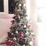 Lucille 's Christmas tree from Verneuil, France