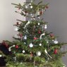 ninie13's Christmas tree from Marseille, France