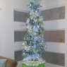 Ariana  N Perez's Christmas tree from Cabo Rojo, Puerto Rico