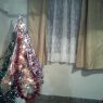 sol sito 's Christmas tree from Argentina