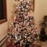 Sung's Christmas tree from Levittown, NY, USA