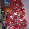 ana lilia zamorano rubio's Christmas tree from mexico d.f