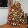 James's Christmas tree from UK