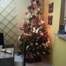 Weihnachtsbaum von Fernando de la Cruz  (Panamá)