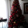 Fernando Dueñas's Christmas tree from Guayaquil, Ecuador