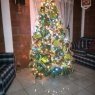 Carmen Castillo's Christmas tree from Guatemala