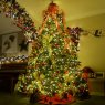 Weihnachtsbaum von Ben Randles (South Gloucestershire, England, United Kingdom)