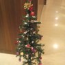 Pooja's Christmas tree from New Delhi, India