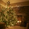 Weihnachtsbaum von Mr and Mrs Massey (Manchester, UK)