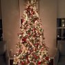 Weihnachtsbaum von Willis Family Tree (Washington DC, USA)