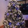 Ramiro Martinez's Christmas tree from Cuenca, Ecuador