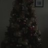 Weihnachtsbaum von viviana sanchez (jacksonville, florida, USA)