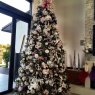 Weihnachtsbaum von The Grage Family Tree  (Fort Lauderdale, FL, USA)