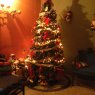 Regina's Christmas tree from Guatemala