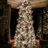 Weihnachtsbaum von Brandon - Waterford & Swarovski Holiday Glam (Johnson City, TN, USA)