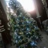 Carmen Castillo Payeras's Christmas tree from Guatemala