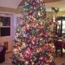 Tracy Martin's Christmas tree from Saint Marys, Georgia, USA