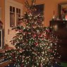 Weihnachtsbaum von Familie Kathrin & Tom Oelrichs (Hamburg, Germany)