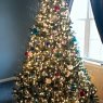 Amelia's Christmas tree from Oswego, Illinois, USA