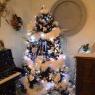 Nathalie's Christmas tree from Saviese, Suisse