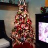 Jorge's Christmas tree from Queens, USA